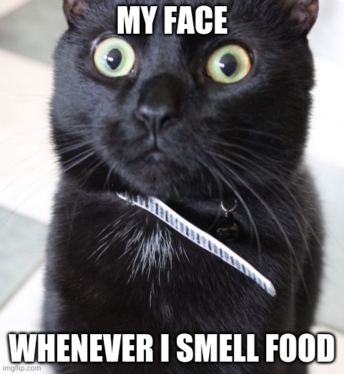 Woah Kitty | MY FACE; WHENEVER I SMELL FOOD | image tagged in memes,woah kitty | made w/ Imgflip meme maker