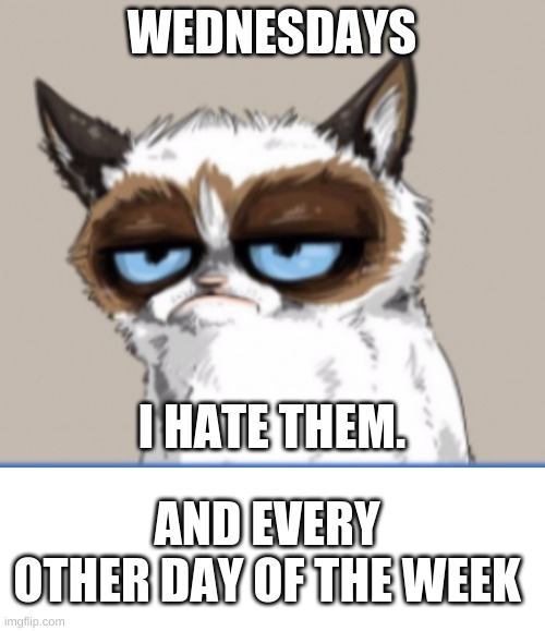 WEDNESDAYS; I HATE THEM. AND EVERY OTHER DAY OF THE WEEK | image tagged in grumpy cat,blank white template | made w/ Imgflip meme maker