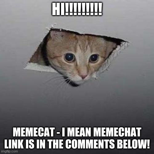 meme | HI!!!!!!!!! MEMECAT - I MEAN MEMECHAT LINK IS IN THE COMMENTS BELOW! | image tagged in memes,ceiling cat,memecat,memechat,links | made w/ Imgflip meme maker