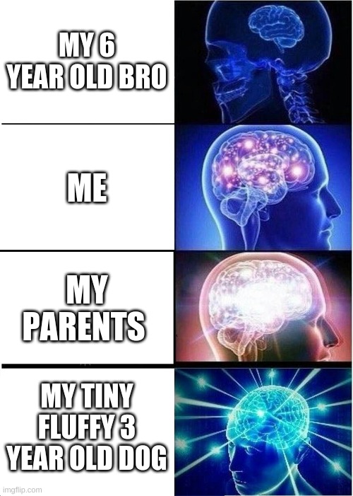 idk | MY 6 YEAR OLD BRO; ME; MY PARENTS; MY TINY FLUFFY 3 YEAR OLD DOG | image tagged in memes,expanding brain | made w/ Imgflip meme maker