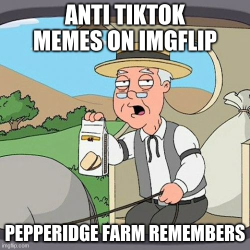 E | ANTI TIKTOK MEMES ON IMGFLIP; PEPPERIDGE FARM REMEMBERS | image tagged in memes,pepperidge farm remembers | made w/ Imgflip meme maker