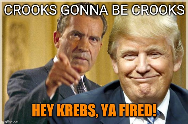 Remember Cox? | CROOKS GONNA BE CROOKS; HEY KREBS, YA FIRED! | image tagged in memes,donald trump,election 2020 | made w/ Imgflip meme maker