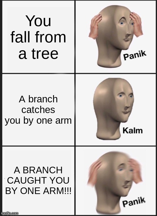 Tree Panik | You fall from a tree; A branch catches you by one arm; A BRANCH CAUGHT YOU BY ONE ARM!!! | image tagged in memes,panik kalm panik | made w/ Imgflip meme maker