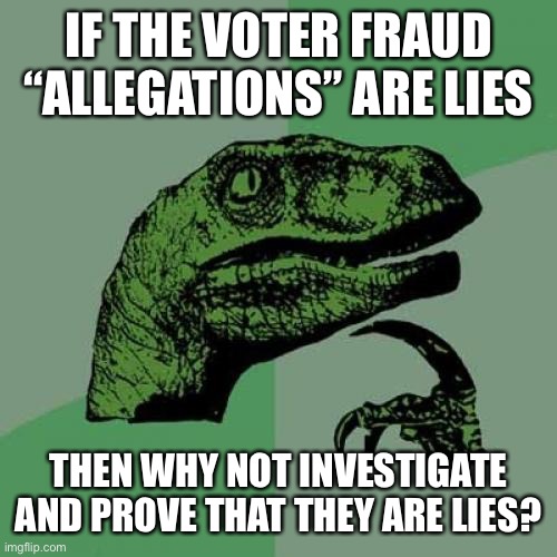 I wonder why they aren’t willing to look | IF THE VOTER FRAUD “ALLEGATIONS” ARE LIES; THEN WHY NOT INVESTIGATE AND PROVE THAT THEY ARE LIES? | image tagged in memes,philosoraptor,voter fraud,politics,election 2020 | made w/ Imgflip meme maker