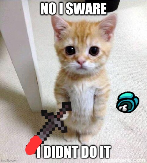 Cute Cat | NO I SWARE; I DIDNT DO IT | image tagged in memes,cute cat | made w/ Imgflip meme maker