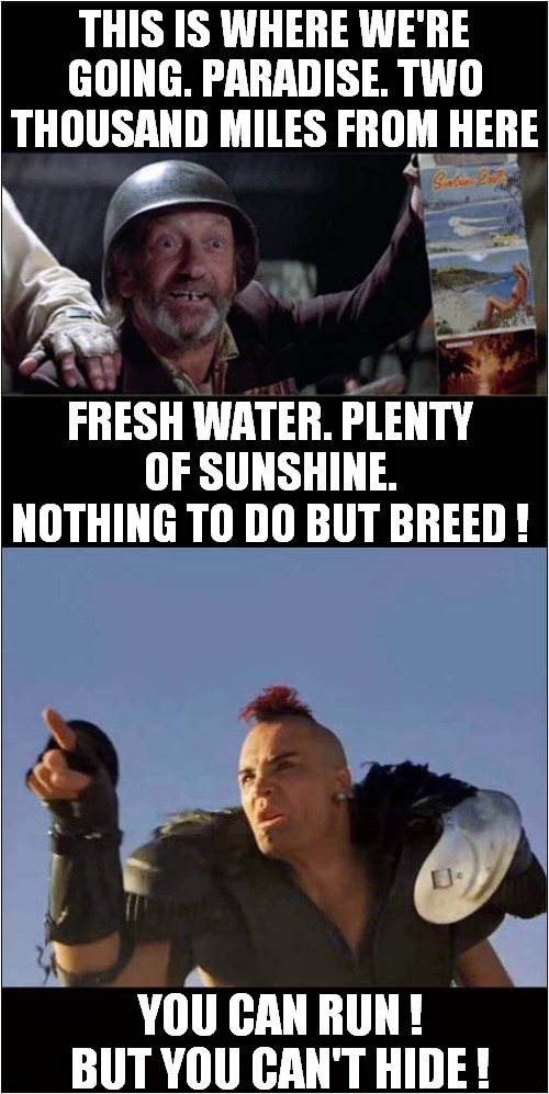 Already Making Plans To Run Away ? | THIS IS WHERE WE'RE GOING. PARADISE. TWO THOUSAND MILES FROM HERE; FRESH WATER. PLENTY OF SUNSHINE. NOTHING TO DO BUT BREED ! YOU CAN RUN ! BUT YOU CAN'T HIDE ! | image tagged in covid,mad max,run away | made w/ Imgflip meme maker