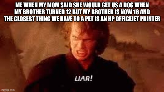 Anakin Liar | ME WHEN MY MOM SAID SHE WOULD GET US A DOG WHEN MY BROTHER TURNED 12 BUT MY BROTHER IS NOW 16 AND THE CLOSEST THING WE HAVE TO A PET IS AN HP OFFICEJET PRINTER | image tagged in anakin liar | made w/ Imgflip meme maker