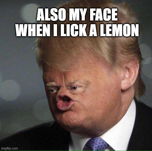 My face when I lick a lemon 2 | ALSO MY FACE WHEN I LICK A LEMON | image tagged in donald trump,cursed image,politics | made w/ Imgflip meme maker