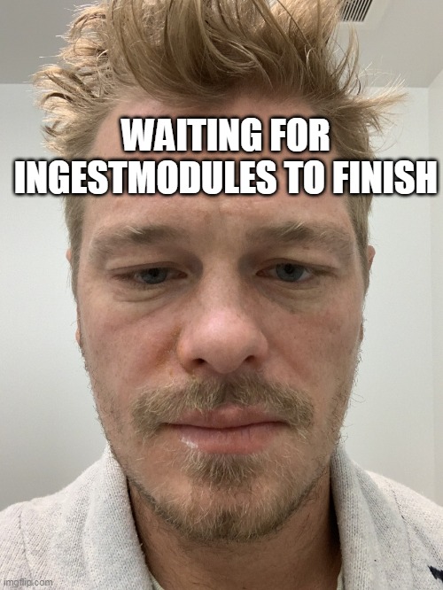 Poison Ivy FTW | WAITING FOR INGESTMODULES TO FINISH | image tagged in poison ivy ftw | made w/ Imgflip meme maker