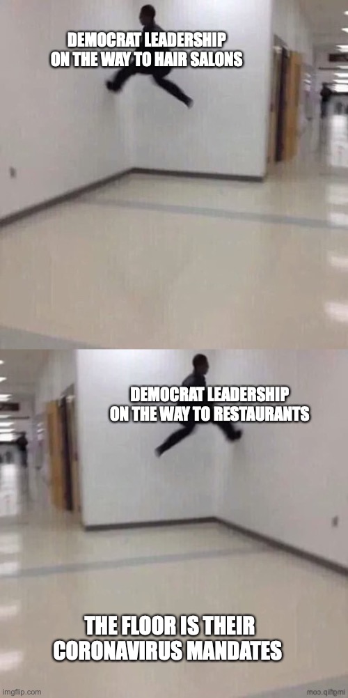 DEMOCRAT LEADERSHIP ON THE WAY TO HAIR SALONS; DEMOCRAT LEADERSHIP ON THE WAY TO RESTAURANTS; THE FLOOR IS THEIR CORONAVIRUS MANDATES | image tagged in floor is lava | made w/ Imgflip meme maker