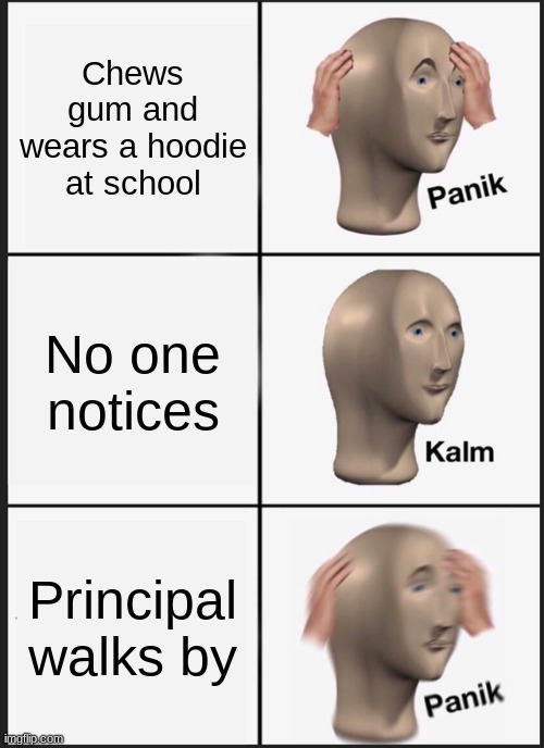 true story | Chews gum and wears a hoodie at school; No one notices; Principal walks by | image tagged in memes,panik kalm panik,school,funny | made w/ Imgflip meme maker