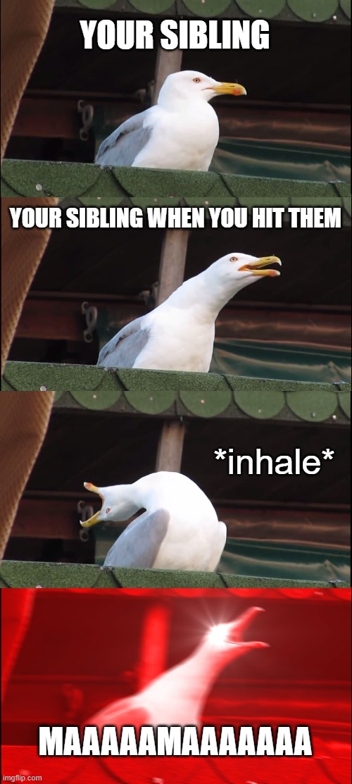 Inhaling Seagull Meme | YOUR SIBLING; YOUR SIBLING WHEN YOU HIT THEM; *inhale*; MAAAAAMAAAAAAA | image tagged in memes,inhaling seagull | made w/ Imgflip meme maker