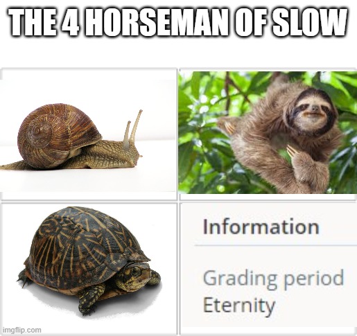 Hurry up already! | THE 4 HORSEMAN OF SLOW | image tagged in 4 horsemen,slow | made w/ Imgflip meme maker