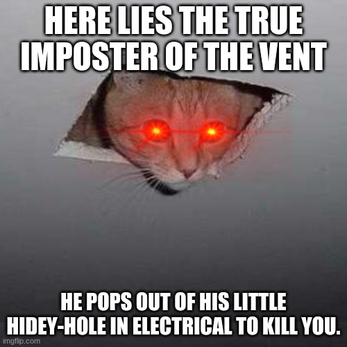 It's so true though! | HERE LIES THE TRUE IMPOSTER OF THE VENT; HE POPS OUT OF HIS LITTLE HIDEY-HOLE IN ELECTRICAL TO KILL YOU. | image tagged in memes,ceiling cat | made w/ Imgflip meme maker