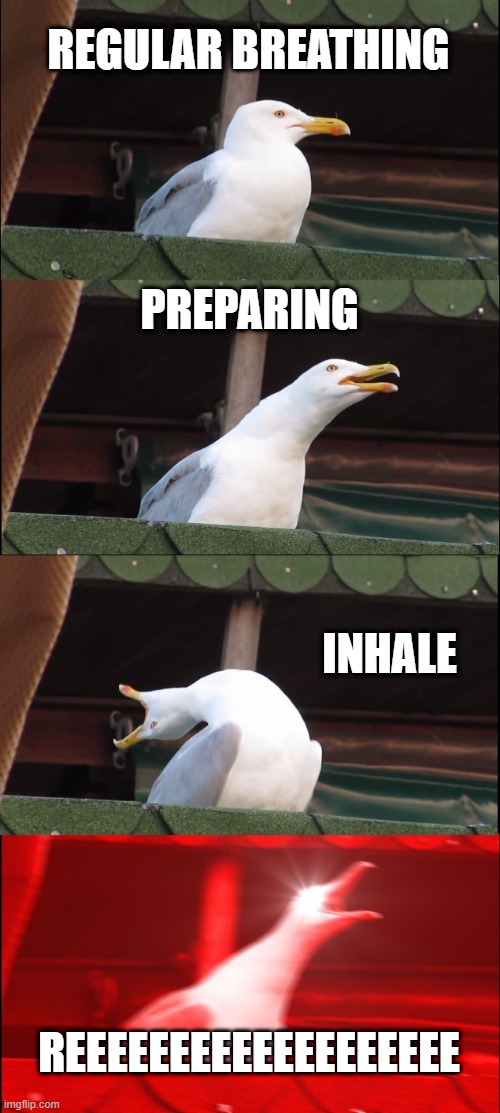 Inhaling Seagull Meme |  REGULAR BREATHING; PREPARING; INHALE; REEEEEEEEEEEEEEEEEEE | image tagged in memes,inhaling seagull | made w/ Imgflip meme maker