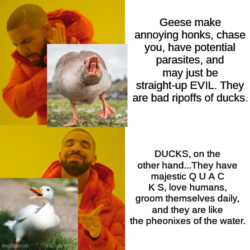 Goose, bad. DUCK, GOOD! | Geese make annoying honks, chase you, have potential parasites, and may just be straight-up EVIL. They are bad ripoffs of ducks. DUCKS, on the other hand...They have majestic Q U A C K S, love humans, groom themselves daily, and they are like the pheonixes of the water. | image tagged in memes,drake hotline bling,goose bad duck good | made w/ Imgflip meme maker