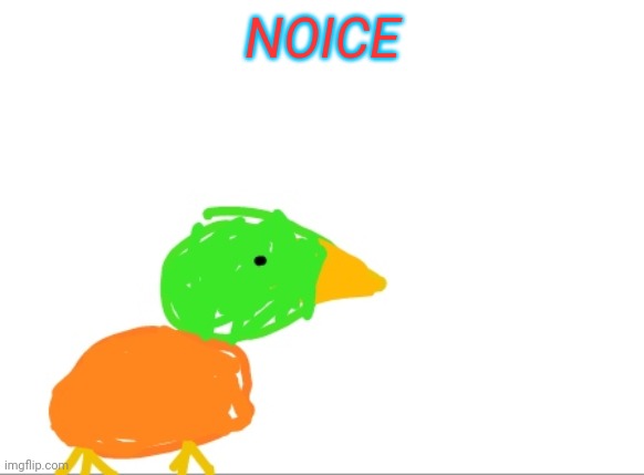 duck u | NOICE | image tagged in duck u | made w/ Imgflip meme maker