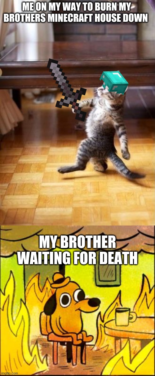 Lol | ME ON MY WAY TO BURN MY BROTHERS MINECRAFT HOUSE DOWN; MY BROTHER WAITING FOR DEATH | image tagged in memes,cool cat stroll,this is fine | made w/ Imgflip meme maker