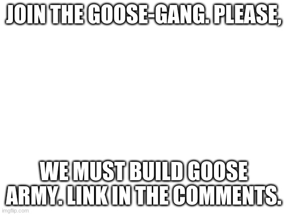 Please. | JOIN THE GOOSE-GANG. PLEASE, WE MUST BUILD GOOSE ARMY. LINK IN THE COMMENTS. | image tagged in blank white template,pls | made w/ Imgflip meme maker
