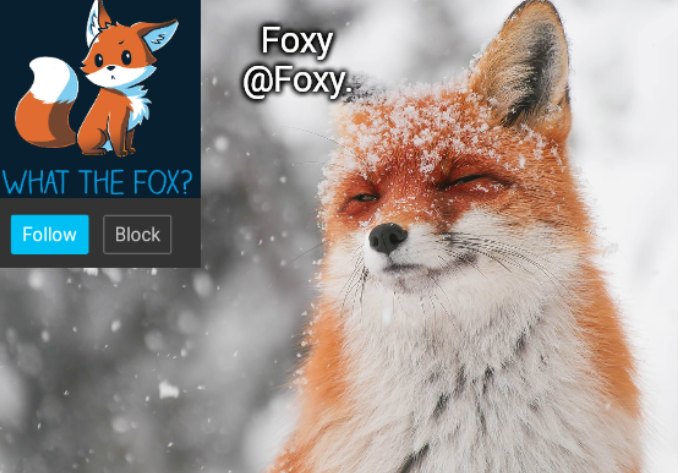 Foxy's announcement template Blank Meme Template