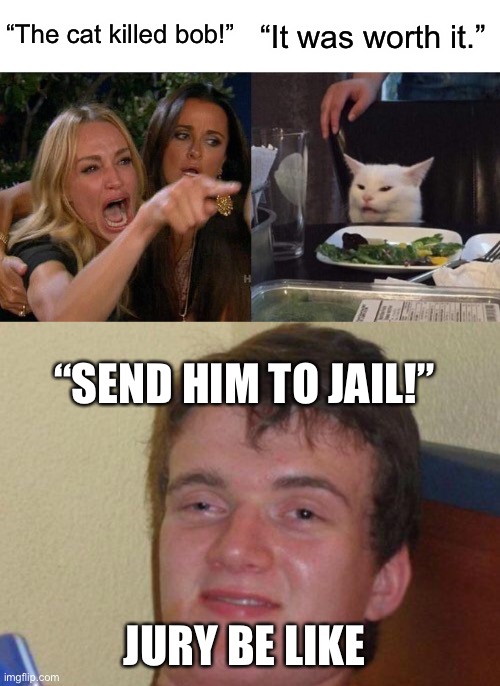 “The cat killed bob!”; “It was worth it.”; “SEND HIM TO JAIL!”; JURY BE LIKE | image tagged in memes,woman yelling at cat,stoned guy | made w/ Imgflip meme maker