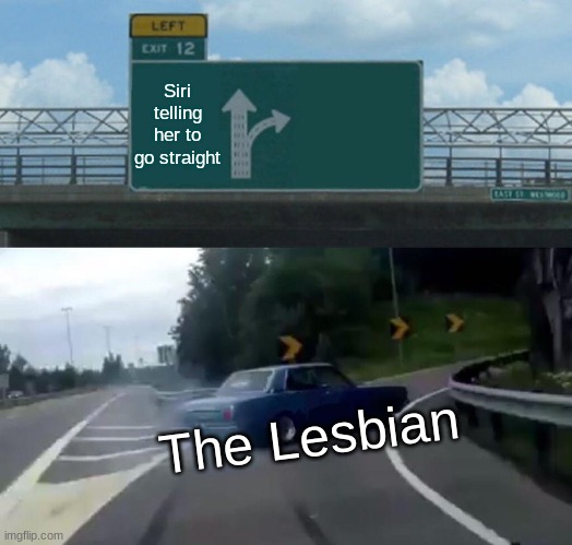 Left Exit 12 Off Ramp Meme | Siri telling her to go straight; The Lesbian | image tagged in memes,left exit 12 off ramp | made w/ Imgflip meme maker