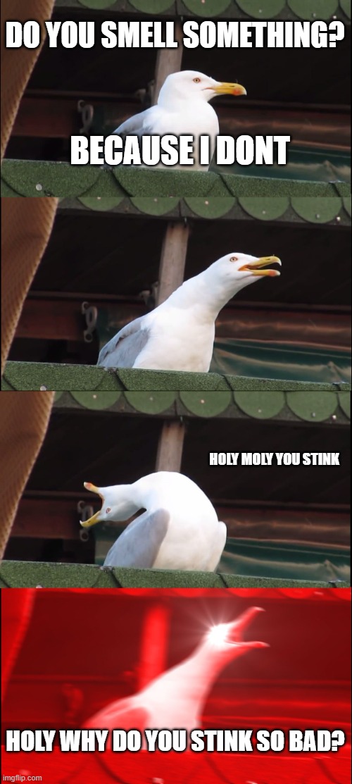 what the heck did you do?!?! | DO YOU SMELL SOMETHING? BECAUSE I DONT; HOLY MOLY YOU STINK; HOLY WHY DO YOU STINK SO BAD? | image tagged in memes,inhaling seagull | made w/ Imgflip meme maker