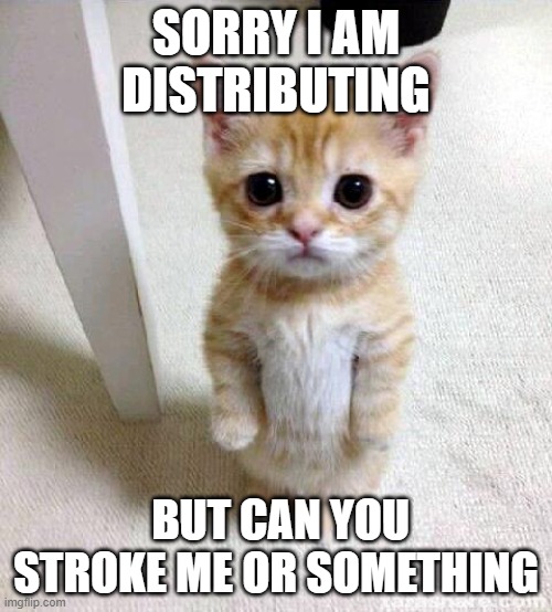 Cute cat | SORRY I AM DISTRIBUTING; BUT CAN YOU STROKE ME OR SOMETHING | image tagged in memes,cute cat,cats | made w/ Imgflip meme maker