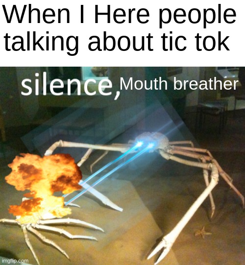 When I Here people talking about tic tok; Mouth breather | image tagged in blank white template,silence crab | made w/ Imgflip meme maker