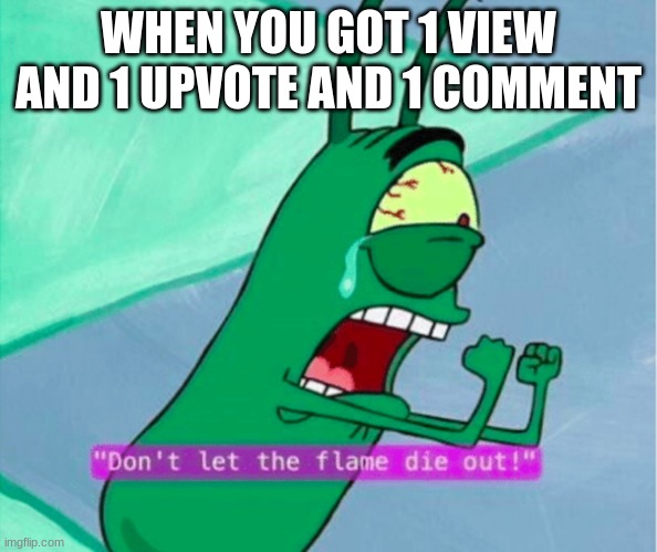 Dont let the flame die out | WHEN YOU GOT 1 VIEW AND 1 UPVOTE AND 1 COMMENT | image tagged in dont let the flame die out | made w/ Imgflip meme maker