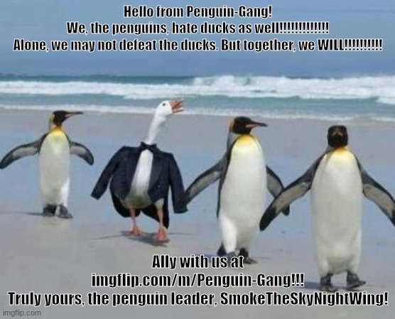 The Geese and the Penguins |  Hello from Penguin-Gang!
We, the penguins, hate ducks as well!!!!!!!!!!!!!
Alone, we may not defeat the ducks. But together, we WILL!!!!!!!!!! Ally with us at imgflip.com/m/Penguin-Gang!!!
Truly yours, the penguin leader, SmokeTheSkyNightWing! | image tagged in ally,hi,random tag | made w/ Imgflip meme maker