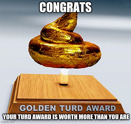 The award we all have | CONGRATS; YOUR TURD AWARD IS WORTH MORE THAN YOU ARE | image tagged in golden turd award | made w/ Imgflip meme maker