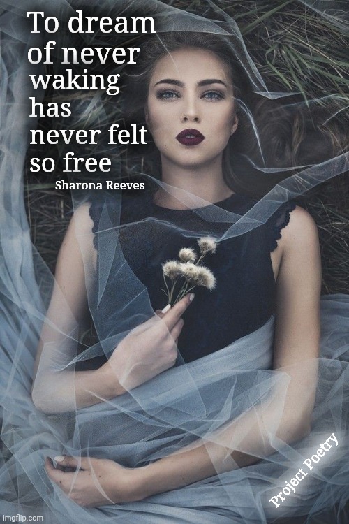 Living Nightmare | To dream of never; waking has never felt so free; Sharona Reeves; Project Poetry | image tagged in poetry,art,death,dream girl | made w/ Imgflip meme maker