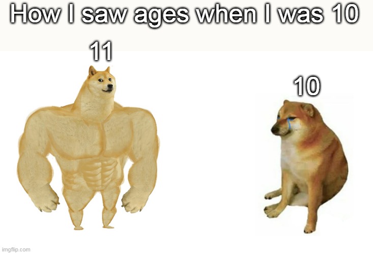 Buff Doge vs Crying Cheems | How I saw ages when I was 10; 11; 10 | image tagged in buff doge vs crying cheems | made w/ Imgflip meme maker