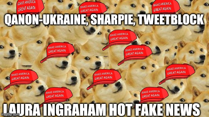 Multi Doge Meme | QANON-UKRAINE, SHARPIE, TWEETBLOCK; LAURA INGRAHAM HOT FAKE NEWS | image tagged in memes,multi doge | made w/ Imgflip meme maker