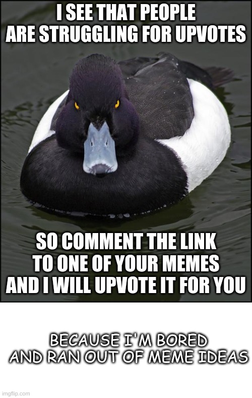 Me being nice for once | I SEE THAT PEOPLE ARE STRUGGLING FOR UPVOTES; SO COMMENT THE LINK TO ONE OF YOUR MEMES AND I WILL UPVOTE IT FOR YOU; BECAUSE I'M BORED AND RAN OUT OF MEME IDEAS | image tagged in angry duck,blank white template | made w/ Imgflip meme maker