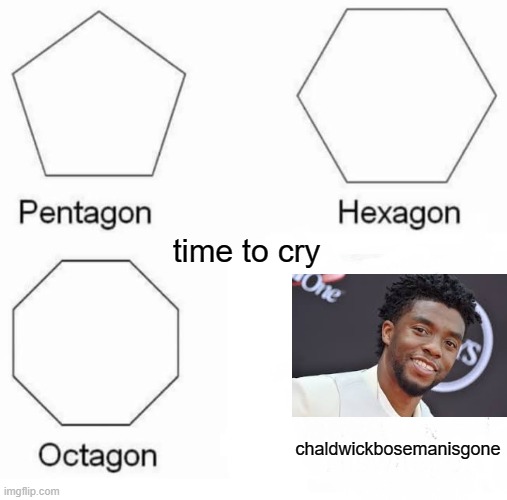 Pentagon Hexagon Octagon Meme | time to cry; chaldwickbosemanisgone | image tagged in memes,pentagon hexagon octagon | made w/ Imgflip meme maker