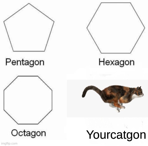 Meme | Yourcatgon | image tagged in memes,pentagon hexagon octagon | made w/ Imgflip meme maker