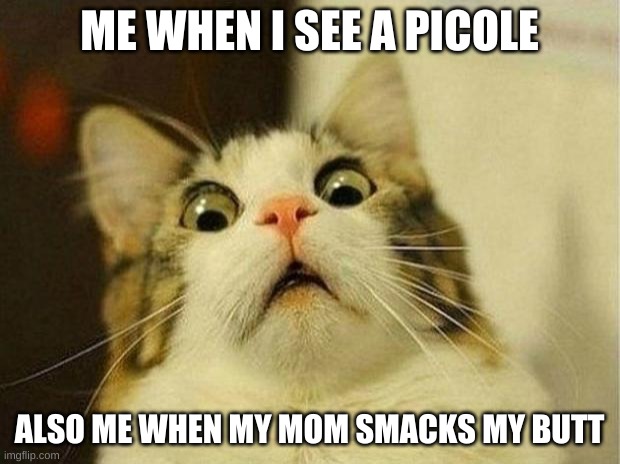 Scared Cat Meme | ME WHEN I SEE A PICOLE; ALSO ME WHEN MY MOM SMACKS MY BUTT | image tagged in memes,scared cat | made w/ Imgflip meme maker