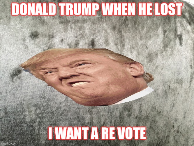 Trump | DONALD TRUMP WHEN HE LOST; I WANT A RE VOTE | image tagged in fluffy | made w/ Imgflip meme maker