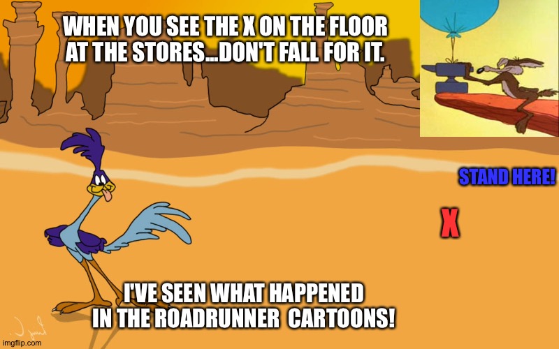Roadrunner | WHEN YOU SEE THE X ON THE FLOOR AT THE STORES...DON'T FALL FOR IT. STAND HERE! X; I'VE SEEN WHAT HAPPENED IN THE ROADRUNNER  CARTOONS! | image tagged in roadrunner | made w/ Imgflip meme maker