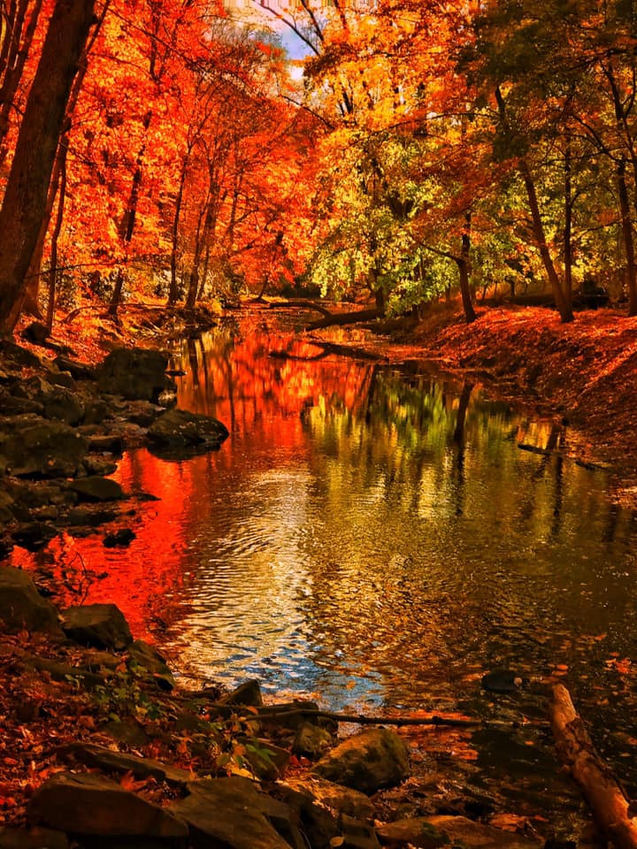 Autumn creek Blank Meme Template