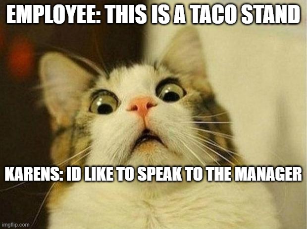 Scared Cat Meme | EMPLOYEE: THIS IS A TACO STAND; KARENS: ID LIKE TO SPEAK TO THE MANAGER | image tagged in memes,scared cat | made w/ Imgflip meme maker