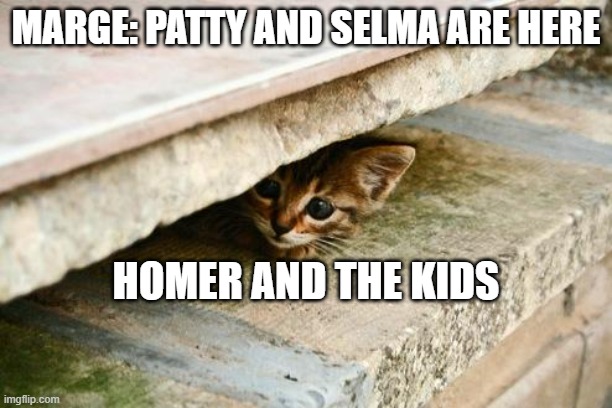 Hiding Cat | MARGE: PATTY AND SELMA ARE HERE; HOMER AND THE KIDS | image tagged in hiding cat | made w/ Imgflip meme maker