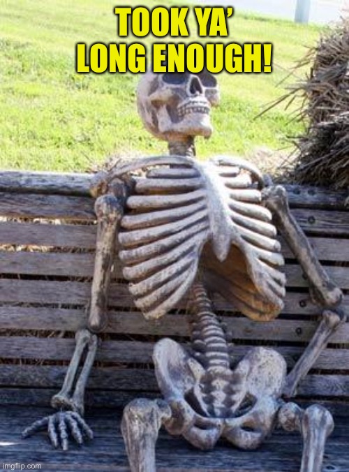 Waiting Skeleton Meme | TOOK YA’ LONG ENOUGH! | image tagged in memes,waiting skeleton | made w/ Imgflip meme maker