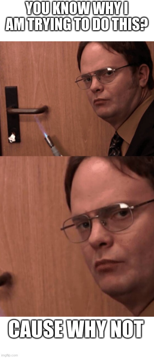 Dwight in the Office | YOU KNOW WHY I AM TRYING TO DO THIS? CAUSE WHY NOT | image tagged in memes | made w/ Imgflip meme maker