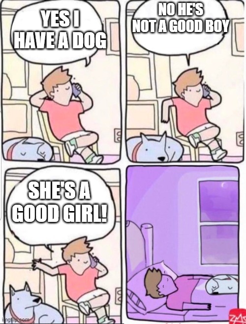 Dog sleeping with owner | NO HE'S NOT A GOOD BOY; YES I HAVE A DOG; SHE'S A GOOD GIRL! | image tagged in dog sleeping with owner,wholesome | made w/ Imgflip meme maker
