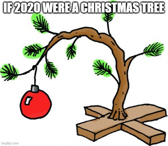 IF 2020 WERE A CHRISTMAS TREE | image tagged in charlie brown,christmas tree,2020 sucks | made w/ Imgflip meme maker