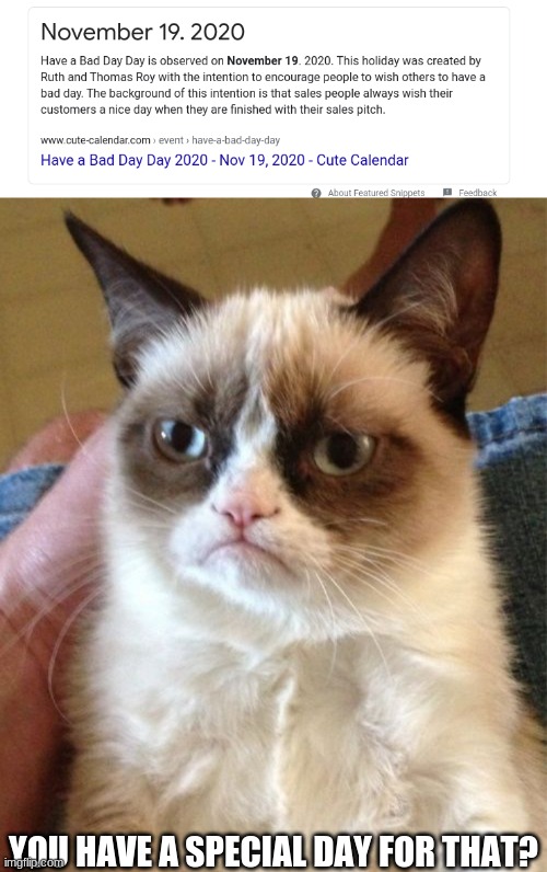 YOU HAVE A SPECIAL DAY FOR THAT? | image tagged in memes,grumpy cat,funny,nov 19 | made w/ Imgflip meme maker