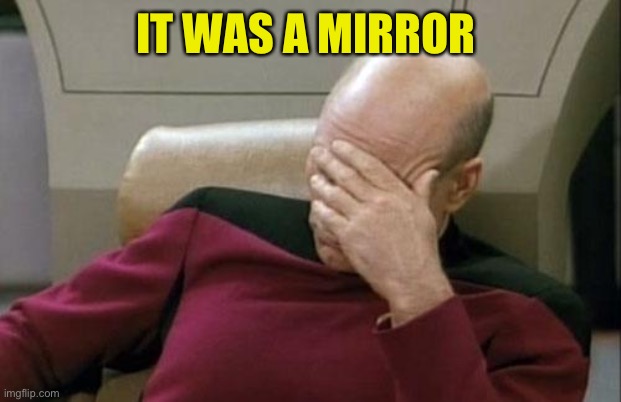 Captain Picard Facepalm Meme | IT WAS A MIRROR | image tagged in memes,captain picard facepalm | made w/ Imgflip meme maker